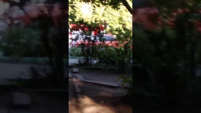 Алкаш в Ставрополе! смотреть онлайн