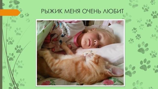 Проект Мой домашний питомец (1Б)