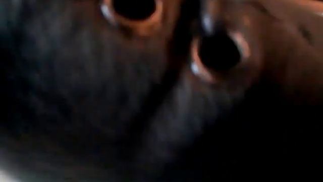 Покупки aliexpress август 2016/2 часть/ обувь/ботиночки/чекер на шею. смотреть онлайн