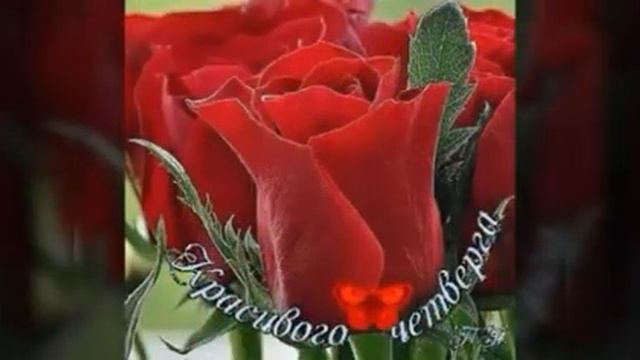 500010317 С весенним утром четверга (0.30) смотреть онлайн