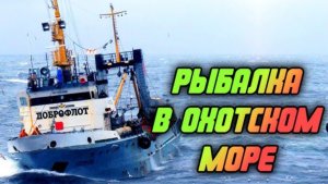 Крупнейший в мире плавучий рыбозавод "Всеволод Сибирцев".