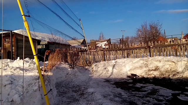 Ловля весенних реплов(коноплянок) щеглов, чижей. смотреть онлайн