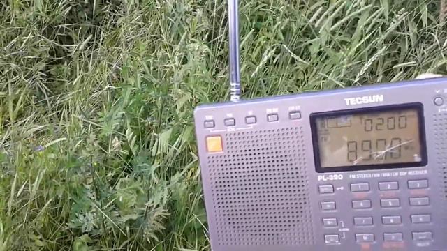 Радиоприём в пос.Ревсельга 31.07.2017