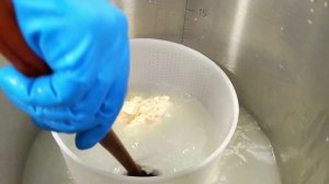 Как сделать сыр Моцарелла  на лимонной кислоте с ферментом / Классическая Моцарелла и в масле