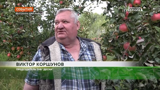 Больше двухсот сортов яблок выращивают в брянском селе Удельные Уты
