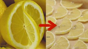 Умные хозяйки замораживают лимоны килограммами: вот для чего они это делают