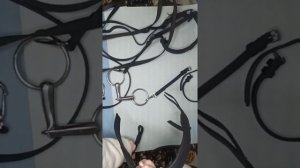 Как разбирать уздечку? Как собирать уздечку? Как крепить треньзель?