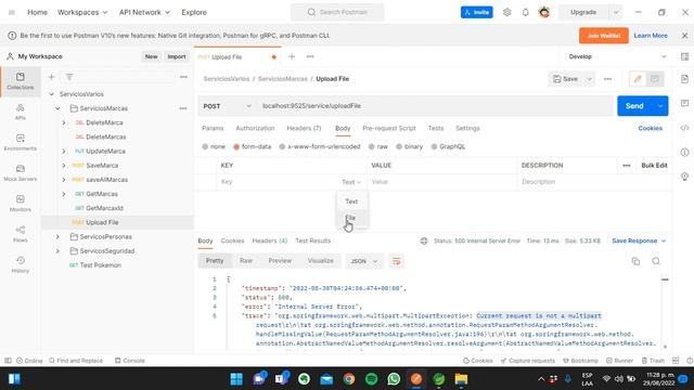 Solución (FIX): Java - Postman: web.multipart.MultipartException: Current request is not a multipar смотреть онлайн