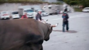 Обитаемый остров, Окинава, Япония, путешествие