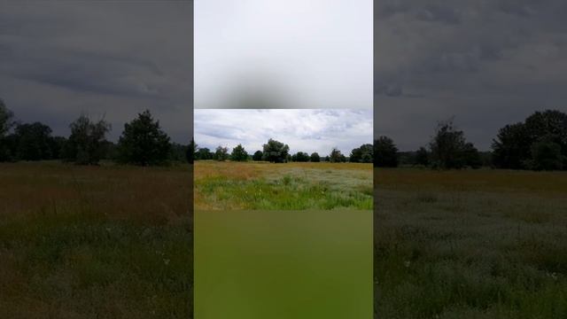Труханов остров 20 июня 2020 г.