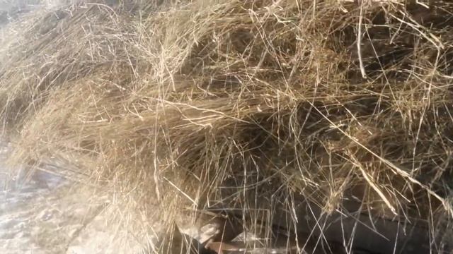 Копна сена. смотреть онлайн