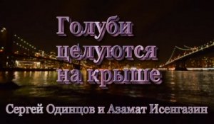 Голуби целуются на крыше