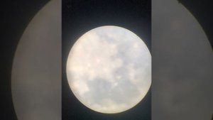 Only the moon. Though my Meade Polaris 114 telescope