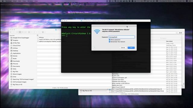 Installing micropython or circuitpython on your ESP8266 and ESP32