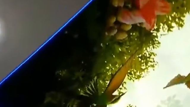 Готовый потолок 3D - сеть студий натяжных потолков Decor в Нижнем Новгороде смотреть онлайн