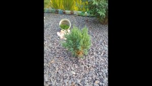 клумба из щебня