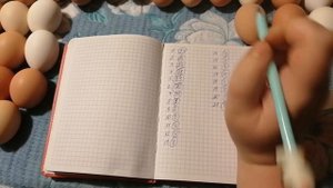 Инкубация куриных яиц. Пошагово каждый этап. Инкубация от А до Я.