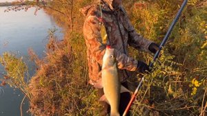 Осенний жерех на реке Или и немного шок-контента. Октябрь 2023.