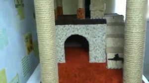Как отучить кота от царапания мебели