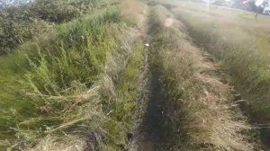 С ПЕРВОГО ЗАБРОСА...Рыбалка на КАСТИНГОВУЮ СЕТЬ. Продажа кастинговых сетей. купить кастинговую сеть