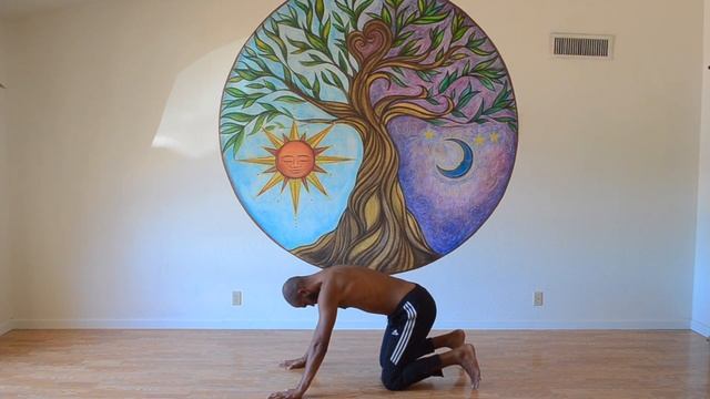 Surya Namaskar in stages