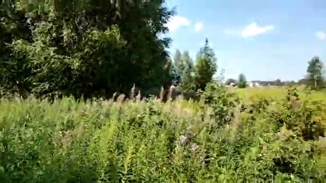 Инженерно геологические изыскания на объекте Нижегородская область, Бор Неклюдово