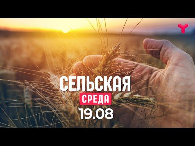 Сельская среда. Сельская среда Тюменское время.