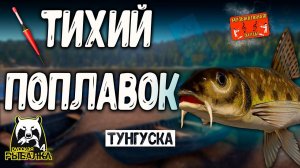 РР4/ рыбалка для души, ловим как универсал, общаемся 06.11.23