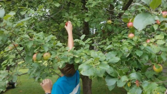 Обзор школьных покупок, Влог 101 Шарлотка, Дом на продажу многодетная семья Савченко смотреть онлайн