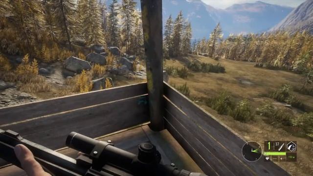 The hunter:Call of the Wild |Вуалес СуперКойот|Как добыть крупного Койота?