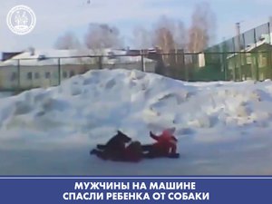 Мужчины на машине спасли девчушку от злобного пса