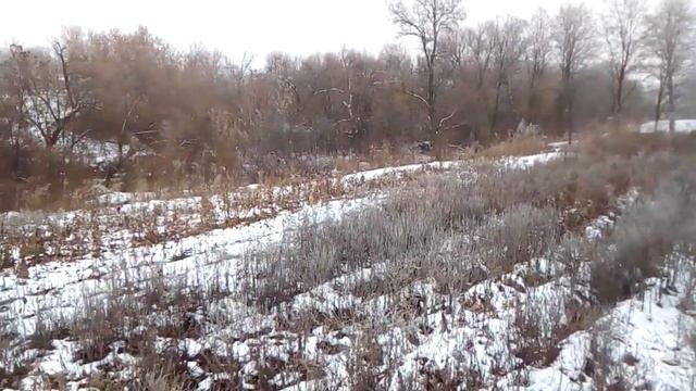 Двох годичный Интенсивный сад м9 2018, Шпалерные сады, Сады на поливе смотреть онлайн