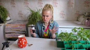 Перекись водорода для рассады. Перекись водорода - супер средство для роста рассады.