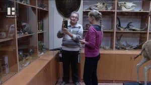 Метр в длину и зубастая пасть: в Тамбовском районе грибники опасаются необычных змей