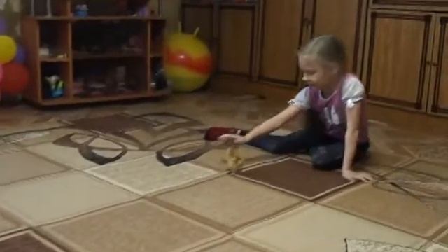 Ручной цыплёнок смотреть онлайн