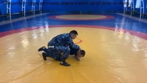 Билет 4. Боевые приемы борьбы. Подготовка сотрудников УИС к ежеквартальным КПЗ.