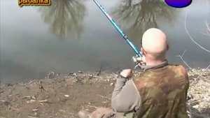 Линь. Это должен знать каждый уважающий себя рыболов.