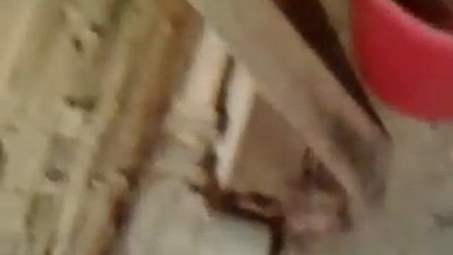 котел благо. смотреть онлайн