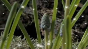 У меня все хорошо! А будет еще лучше!