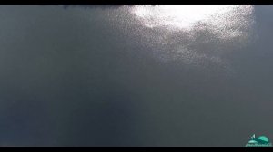 Озеро Шарьер (Сайвер) Звениговского района Марий Эл