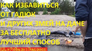 КАК ИЗБАВИТЬСЯ ОТ ГАДЮК И ДРУГИХ ЗМЕЙ НА ДАЧЕ, САМЫЙ ЛУЧШИЙ И ЭФФЕКТИВНЫЙ МЕТОД ЗА БЕСПЛАТНО