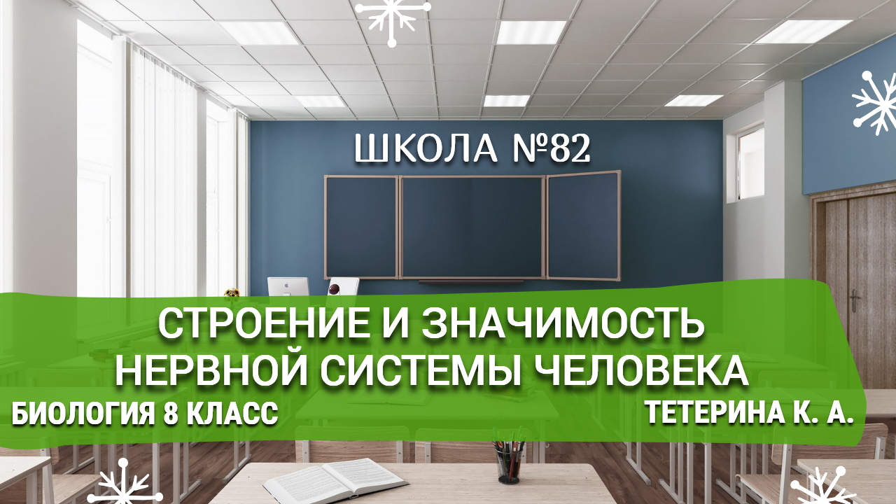 Строение и значимость нервной системы человека. Биология 8 класс. Тетерина К. А.