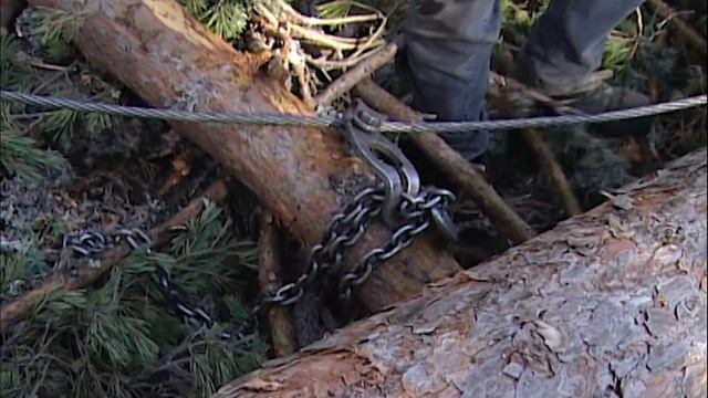 La MADERA. Tala del árbol, arrastre y transporte con caballerías y su aprovechamiento | Documental смотреть онлайн