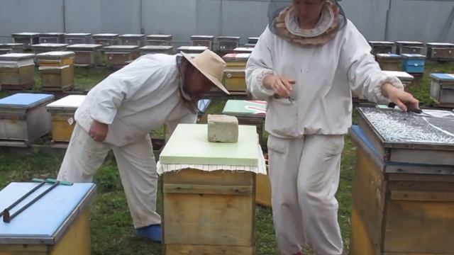 Содержание пчёл в 8-рамочных ульях. Расширение. смотреть онлайн