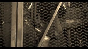 История спички