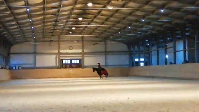 Пасодобль на лошади смотреть онлайн