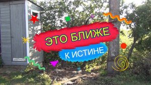 Долгожданные дожди  Ломаем забор