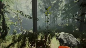 The Forest GTX 550 Ti + Ryzen 3 1200