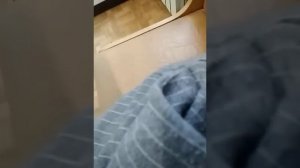 Выравнивание купюр.Экспресс-метод как разгладить купюру евро.