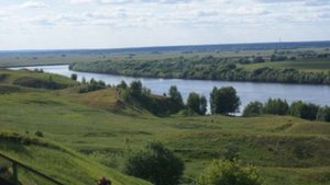 Родина , Андрей  Белый, читает Павел Беседин